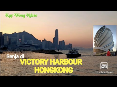 Video: Kus On Hong Kong