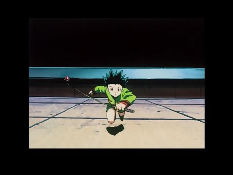 hunter x hunter