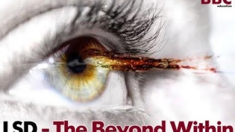 The Beyond Within, the Rise and Fall of LSD [1986]. Two-Part Documentary