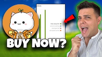 1CAT Coin Bitcoin Cats Crypto ✅ 1 CAT Coin Price Prediction $1CAT