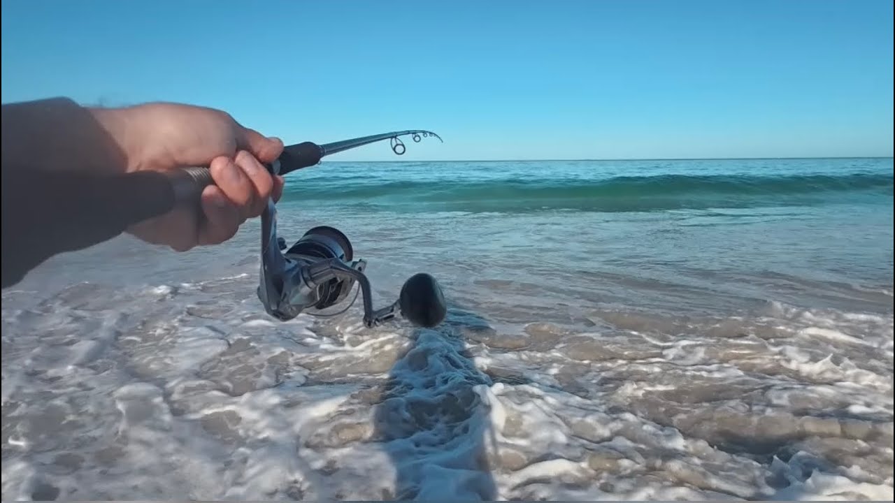 Perth beach fishing- The humble West Australian Herring saves the day.
