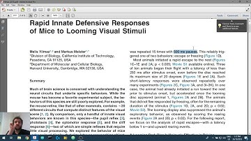 Creating Visual Stimuli in Python 0 - Getting Python
