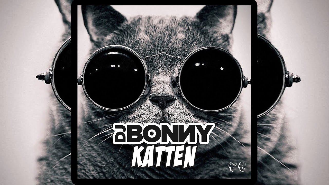 Watch Dj Bonny - Katten (Official Video) (Jumpstyle) (FH Records) (HD) on YouTube Watch Dj Bonny - Katten (Official Video) (Jumpstyle) (FH Records) (HD) on YouTube