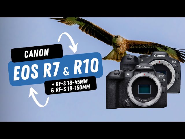 EOS R7 - PT Market