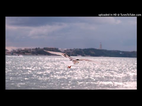 ნიკა ძამიაშვილი — მსურს ცხოვრება, დასვენება და ფოტოაპარატი, ამ ყველაფრის დასაფიქსირებლად