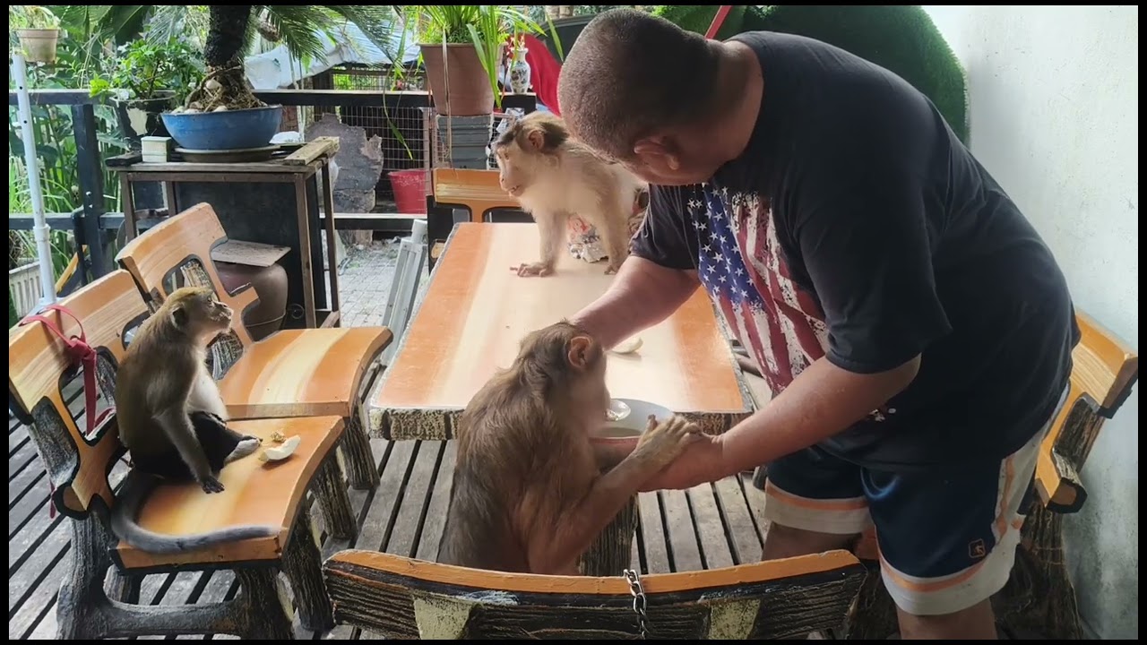 Shaki shakina Adik and me