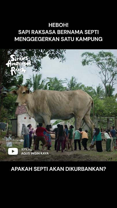 HEBOH! SAPI RAKSASA BERNAMA SEPTI MENGGEMPARKAN SATU KAMPUNG! 😱 #shorts