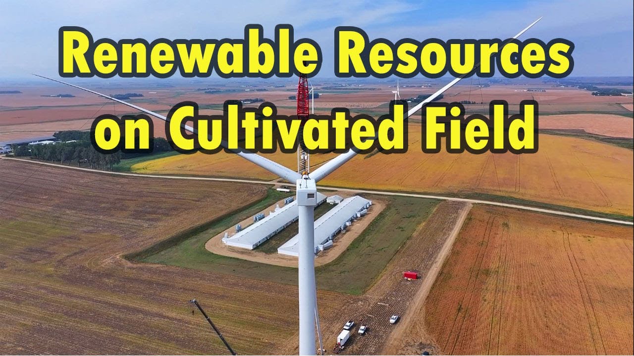 Wind turbine field | Wind turbine | Wind turbine sunset time