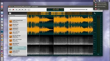 Ocenaudio 2.0.9 audio editor on Ubuntu linux