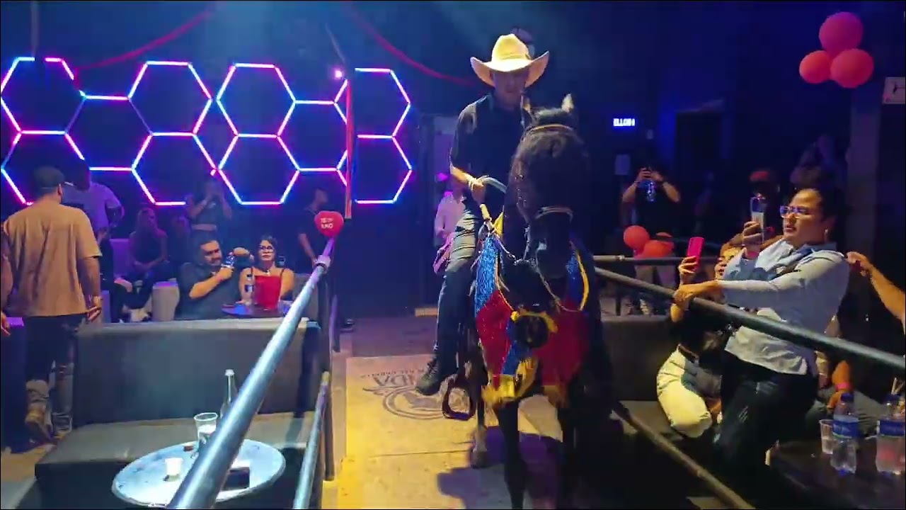 15 de febrero de 2026