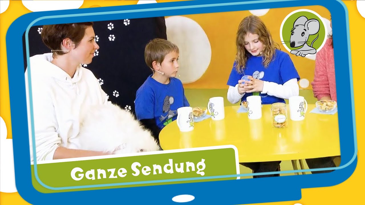 Hallo Benjamin! Katzen - was schnurrt denn da? - Kindersendung