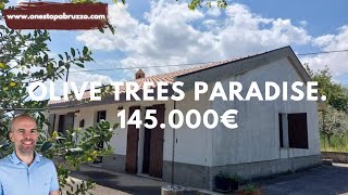 Detached House With Olive Trees In Chieti Province | Palombaro Abruzzo Italy Virtual Tour