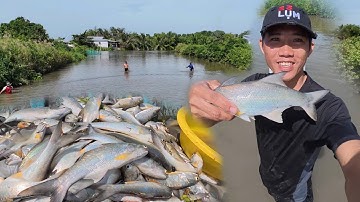 Kéo Lưới Trúng Mớ Cá Chét Siêu To Khổng Lồ | Anh Ngư Phủ