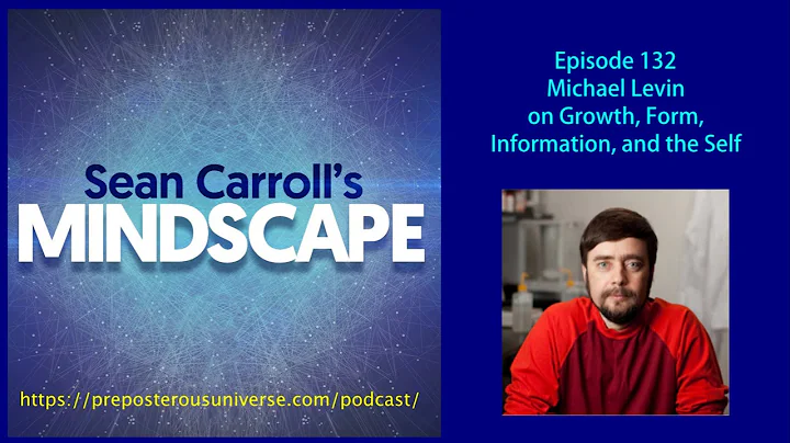 Mindscape 132 | Michael Levin on Information, Form...