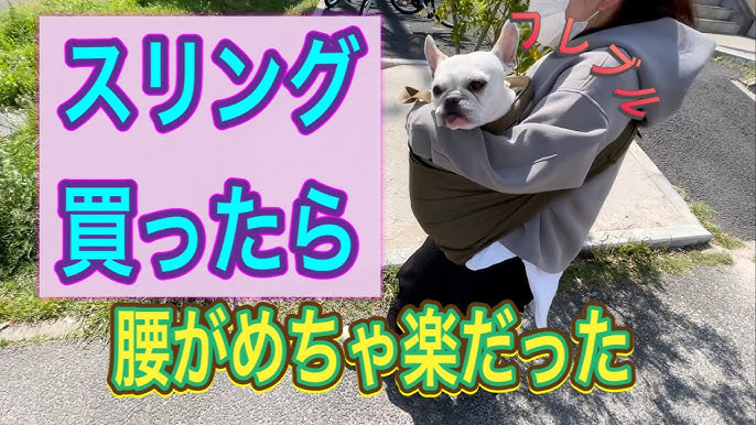 おすすめ犬用スリング3選 愛犬とのお出かけに便利なスリングをペットショップ店員がご紹介 Youtube おすすめ犬用スリング3選 愛犬とのお出かけに便利なスリングをペットショップ店員がご紹介 Youtube