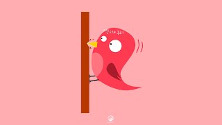 [Cute music] Woodpecker | Royalty free music