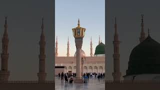 আপনার বিজনেসের প্রোডাক্ট মাত্র 200 টাকাতে প্রোমোট করা হবে আগ্রহী হলে যোগাযোগ করুন এই whatsappএ#islam