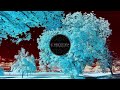 Tera Mera Pyar - Yeh Kya Hua (DJ Pira Remix) Mp3 Song