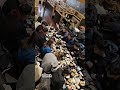 Grebek makan siang