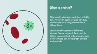 Viral Infections: Causes, Diagnosis, Prevention, and Treatment | Merck Manual Consumer Version