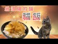 【找7姊玩】貓飯～一碗最溫暖的飯，只要1分鐘！