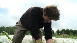 The organic farmhands WWOOFing their way round the world