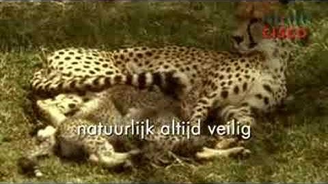 Cisco Security by Azlan