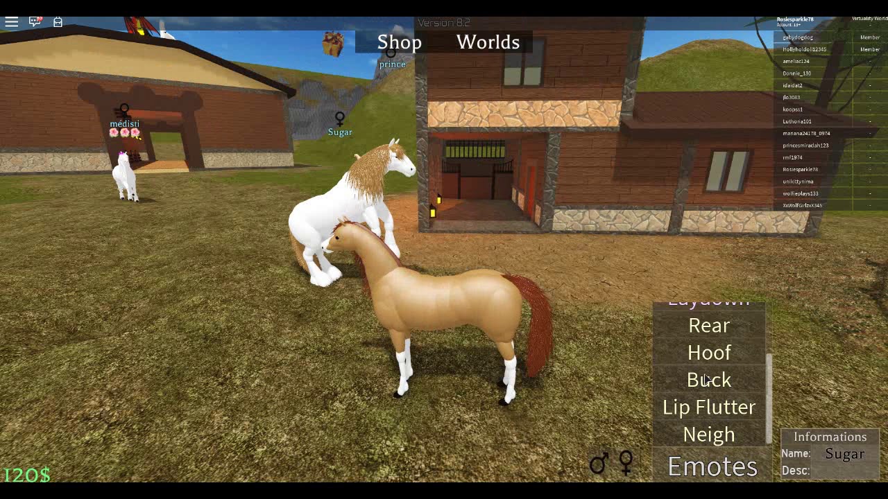 Roblox Horse World P1 A Tour Of The Land Of Horse World YouTube