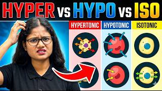 Difference Between Hypertonic, Hypotonic & Isotonic Solutions 🔬 | Cbse Class 9 |