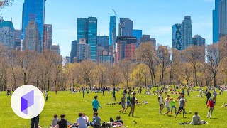 U.S. City Planning 101