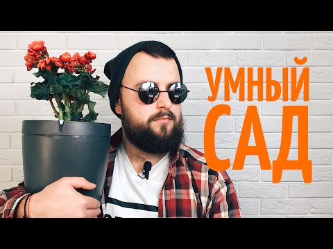 Видео: Умный садовый комплект - узнайте об умных системах садоводства в помещении