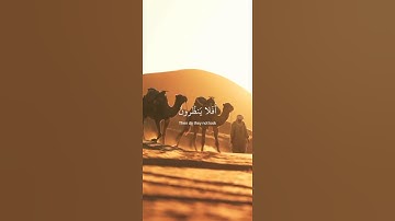 قرأن كريم ♡ | افلا ينظرون إلى الإبل كيف خلقت | سورة الغاشية | القارئ عبد الرحمن مسعد | كروما سوداء