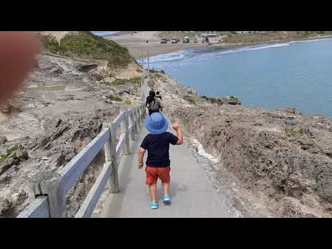 Video: Lub Tebchaws New Zealand