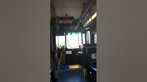 VIA BUS  SAN ANTONIO