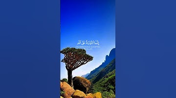#قرآن | سورة النساء (إنما التوبة على الله للذين يعملون السوء بجهالة ثم يتوبون من قريب..) #quran