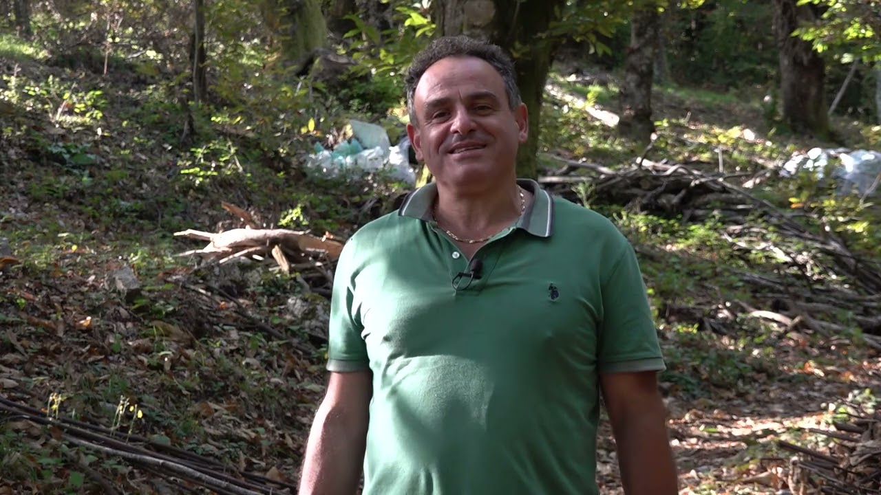 Muli per ripulire  un castagneto ai piedi del Monte Bargiglio -  I colori del Serchio