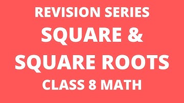 mcq chapter 6 class 8 math | mcq of Square and Square Roots class 8 |