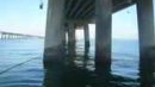 Chesapeake Bay Bridge Tunnel Striped Bass