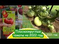 Плоскоокруглые крупноплодные сортовые томаты на 2022 год / Вкусные проверенные томаты и новые