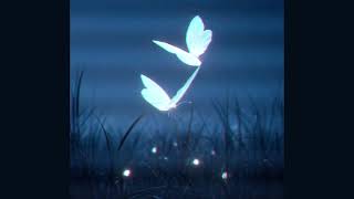 Blue Notes - Michel Janis