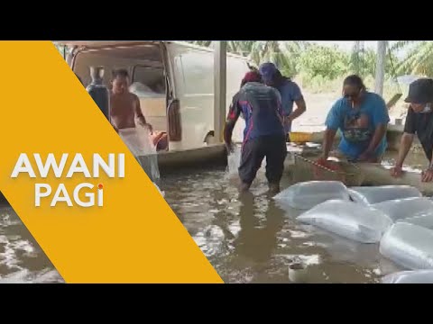 [LANGSUNG] AWANI Pagi:  TVET Buka Peluang Perkasa Kemahiran Anak Muda I 12 April 2022