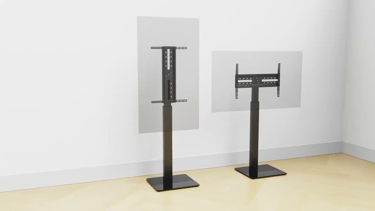 ProMounts Portrait & Landscape Floor TV Stand for 32”-75” TVs, Holds up to 77lbs. (PTMSS6402)