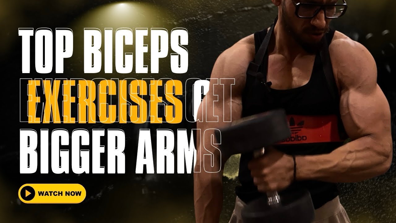Biceps & Abs - YouTube