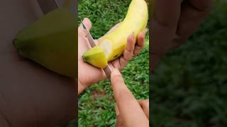 Banana  ?? | taste with HIRU shortsfeed shorts viral trending youtubeshorts fruitcutting