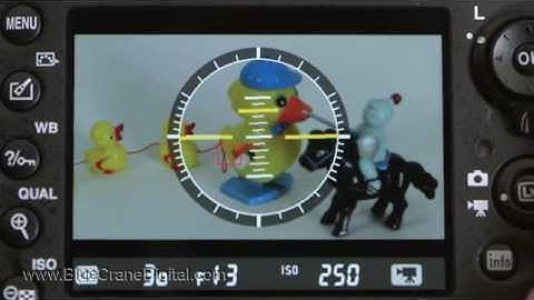 Introduction to the Nikon D600: Basic Controls