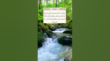 سورة الحجرات الآية 12 بصوت الشيخ سعد الغامدي #القرآن_الكريم #المصحف #الحمدلله  #اسلام #اكسبلور