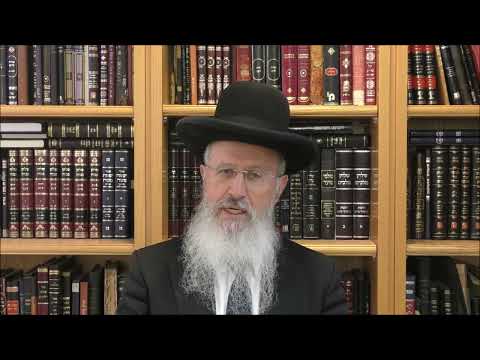 הרב אברהם יוסף שליט"א איך צריך לספור את ספירת העומר