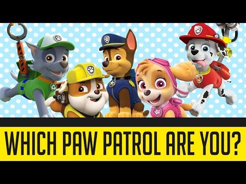 Video: Care este cel mai popular personaj Paw Patrol?