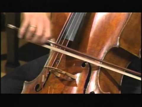 Janacek, Pohadka III Allegro (Queyras)