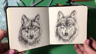 Рисую Волка Карандашом С Комментариями🐺❤️ /Wolf Pencil With Comments